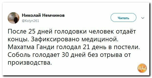 Политические картинки