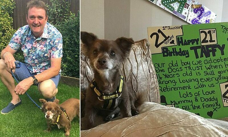 Британская собака-долгожитель отметила свой 21-й день рождения