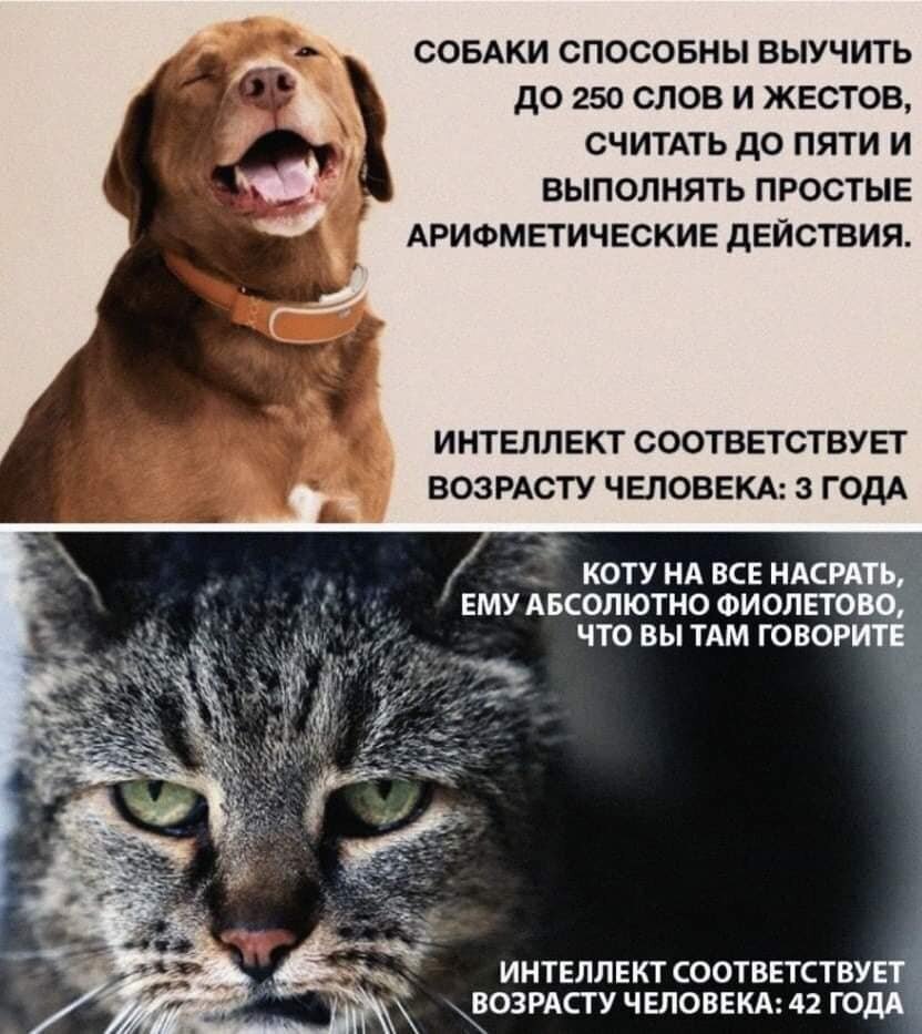 Смешные картинки от Урал за 14 августа 2019