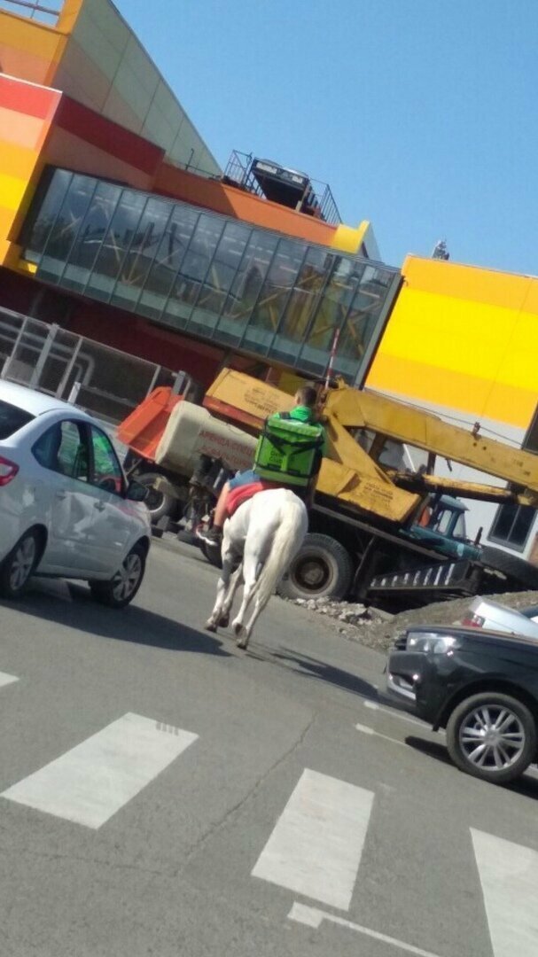 В Саратове доставщик «Delivery Club» выполняет заказы на белом коне