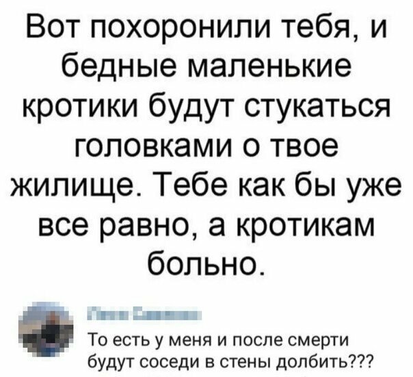 Прикольные и смешные картинки