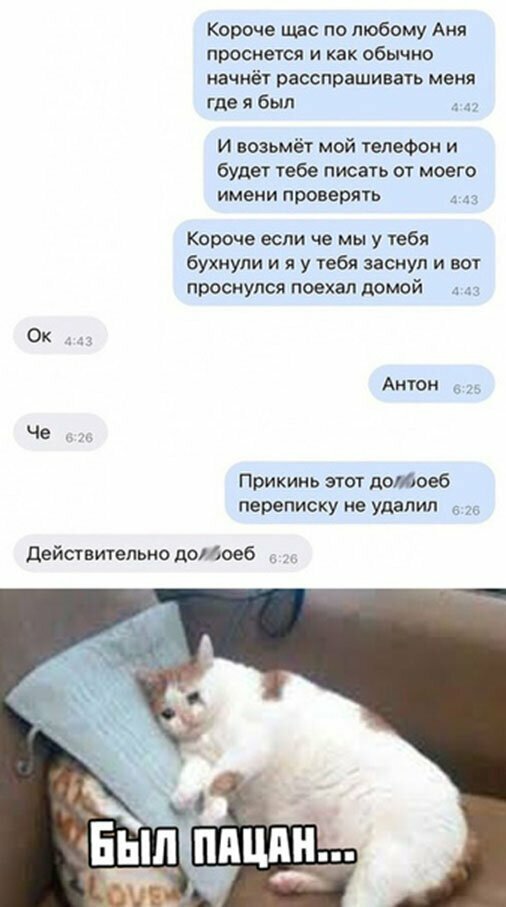 Прикольные и смешные картинки