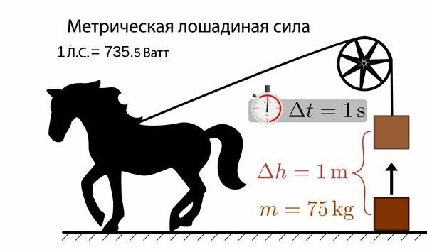 2. Сколько лошадиных сил у самой лошади?