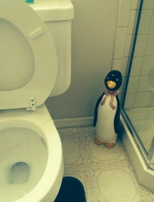 Зачем вы так с пингвином?