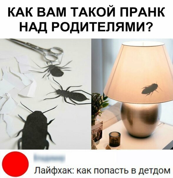 Смешные картинки