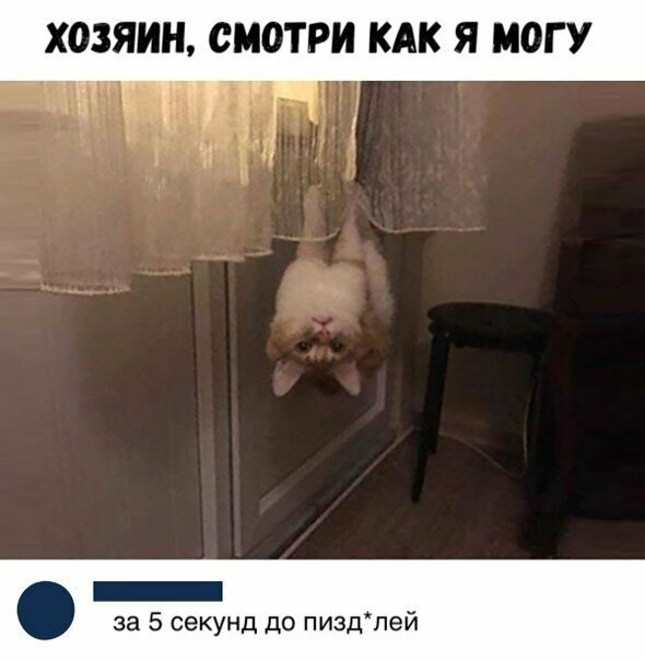 Смешные картинки от Урал за 16 августа 2019 09:09