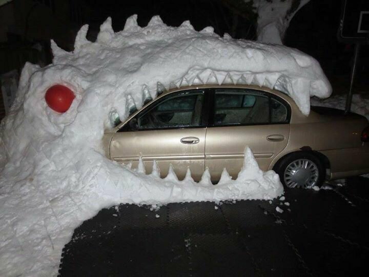 2. Снежный дракон