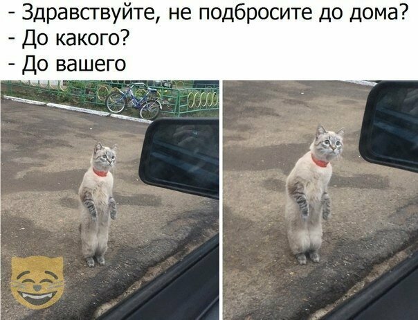 Смешные картинки от Урал за 16 августа 2019 13:19