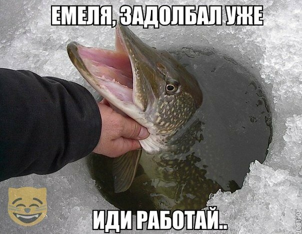Смешные картинки от Урал за 16 августа 2019 13:19