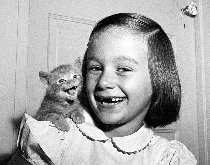 Дочь фотографа Пола и котёнок, 1955.