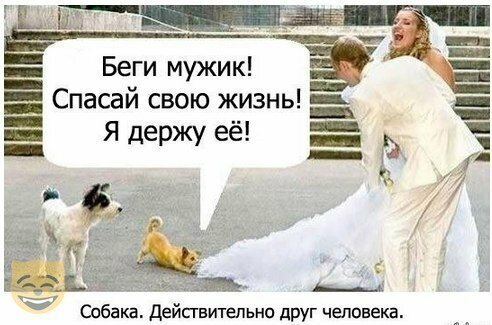 Смешные картинки от Урал за 16 августа 2019 17:02