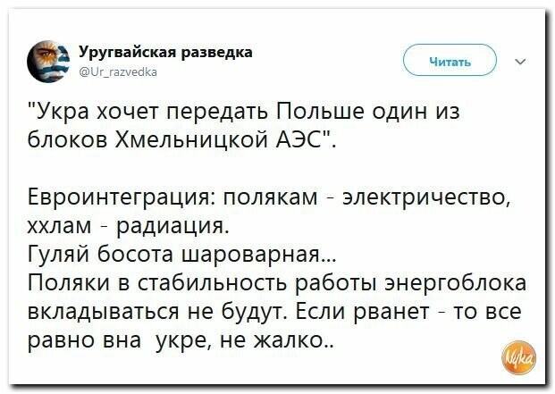 Политические картинки