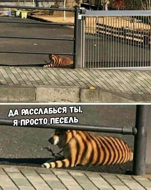 Смешные картинки от Урал за 18 августа 2019 17:49