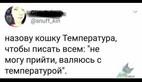 Смешные картинки