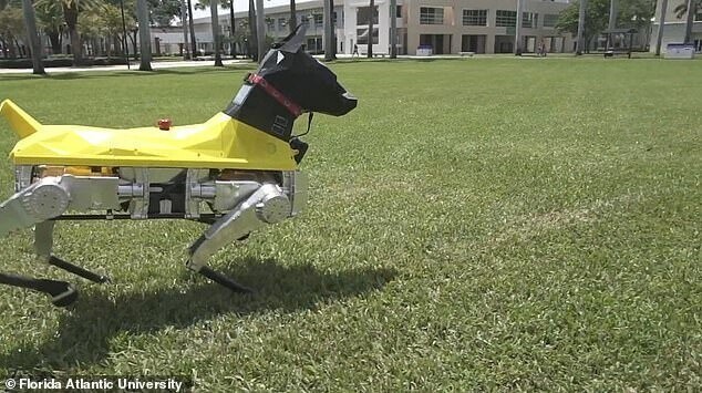 Собака-робот готова служить людям