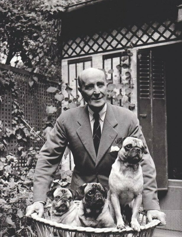 Князь Феликс Юсупов, граф Сумароков-Эльстон, один из организаторов убийства Григория Распутина, в эмиграции, в 1956 году, с любимыми мопсами.
