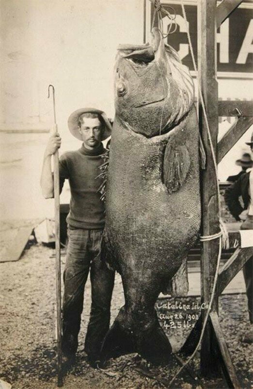 Удачная рыбалка. 1903 г.