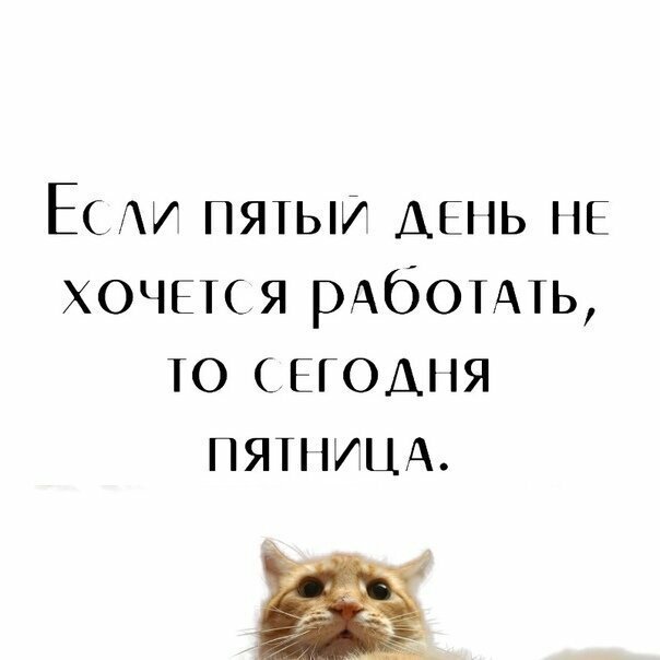 Смешные картинки от Урал за 19 августа 2019 00:40