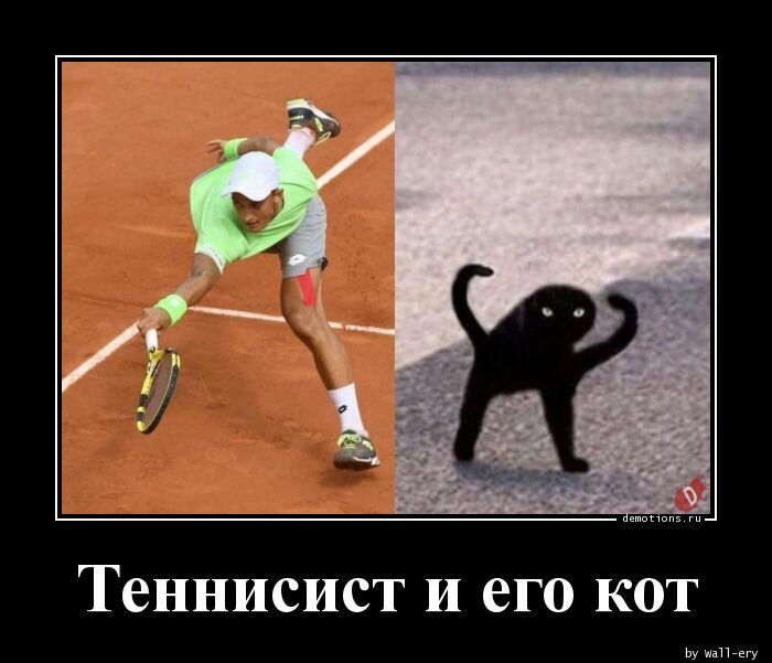 Теннисист и его кот
