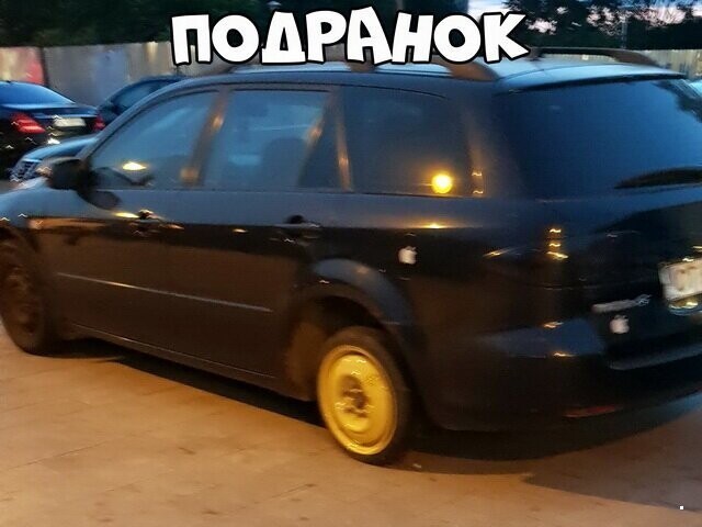 Автовсячина