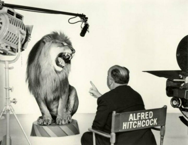Альфред Хичкок руководит съемкой рычащего льва на киностудии MGM.