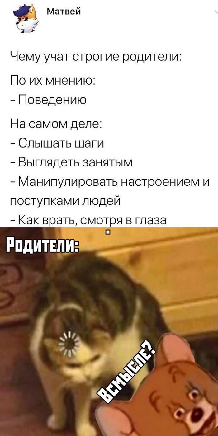 Скрины из социальных сетей