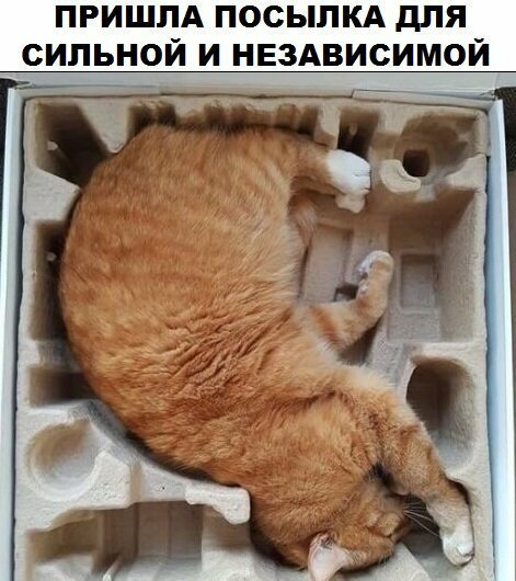 Смешные картинки от Урал за 20 августа 2019 13:58