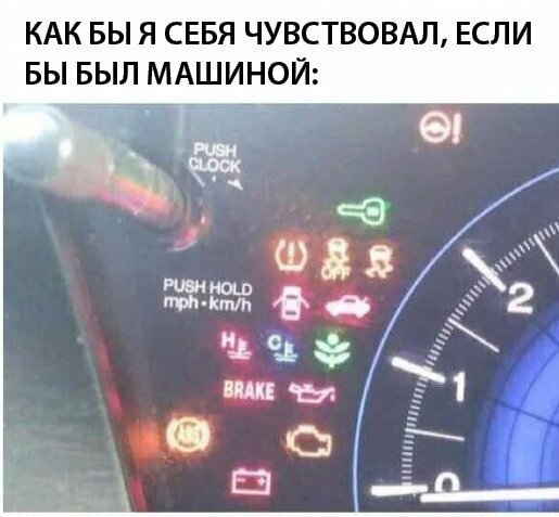 Смешные картинки