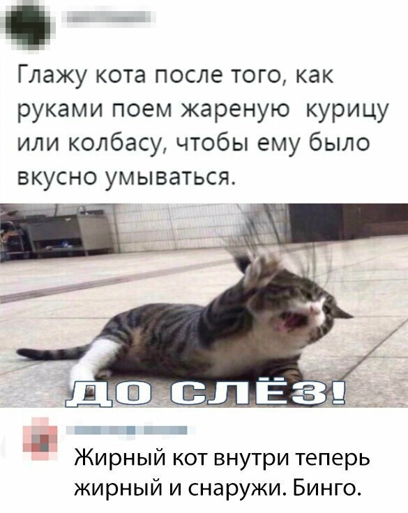 Скрины из социальных сетей