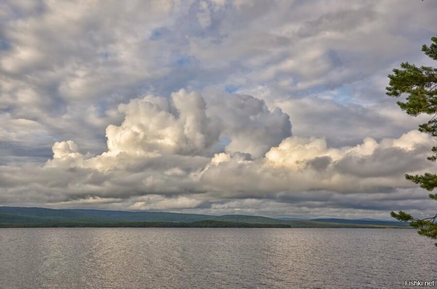 Солянка от 21.08.2019