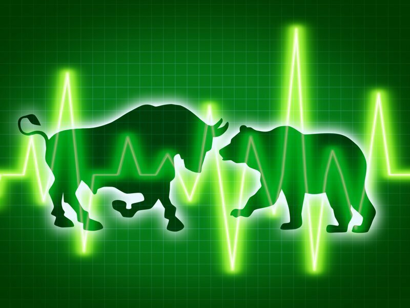 Чем занимаются быки и медведи на бирже?