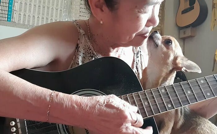Тайская певица и ее собачка покорили интернет