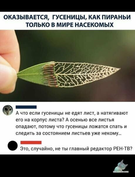 Смешные картинки от Урал за 21 августа 2019 16:39