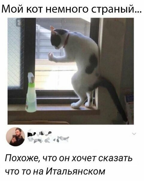 Прикольные и смешные картинки