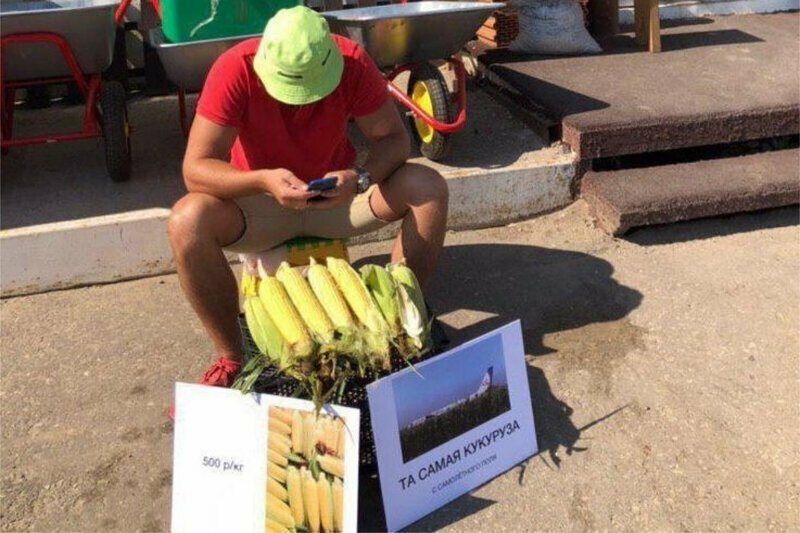 Предприимчивый житель Саратова наладил продажу "той самой кукурузы" с поля посадки А321