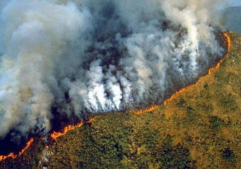 Эта фотография была сделана во время пожаров в тропических лесах Амазонии в 1989 году