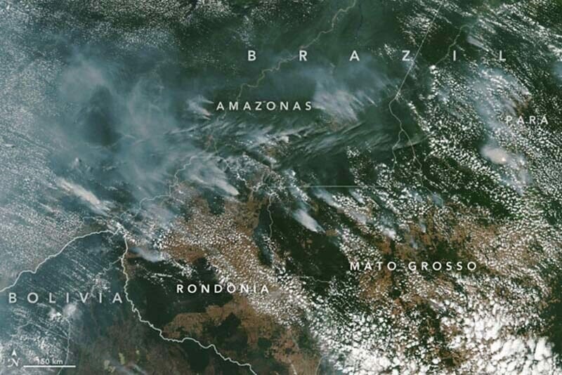 NASA поделилось снимками из космоса горящих лесов Амазонии