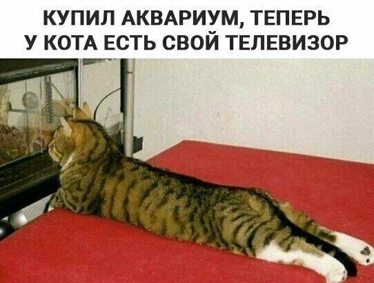 Смешные картинки от Урал за 22 августа 2019 09:39