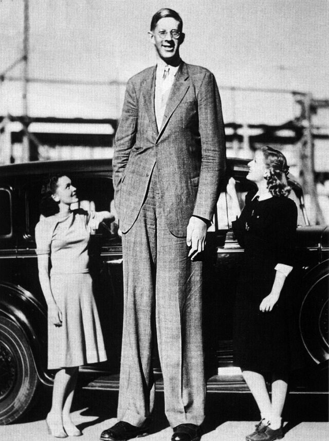 Самый высокий человек в мире Роберт Уодлоу. Его рост - 272 см, а вес - 199 кг