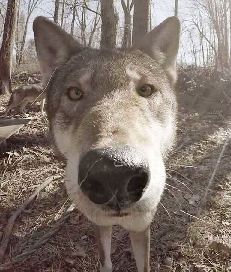 С добрым утром!