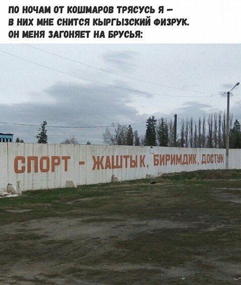 Прикольные и смешные картинки