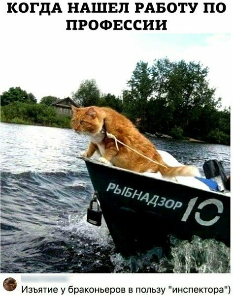 Смешные картинки от Урал за 24 августа 2019 07:37