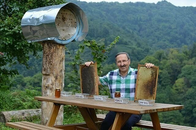 Пасечник из Трабзона проверил качество мёда на медведях