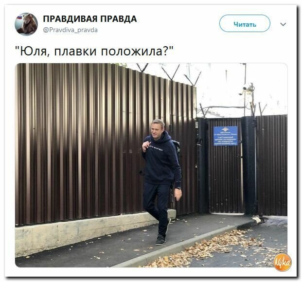 Политические картинки