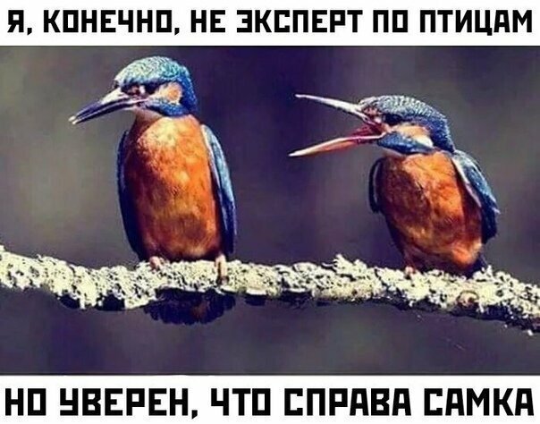 Смешные картинки от Урал за 24 августа 2019 15:42