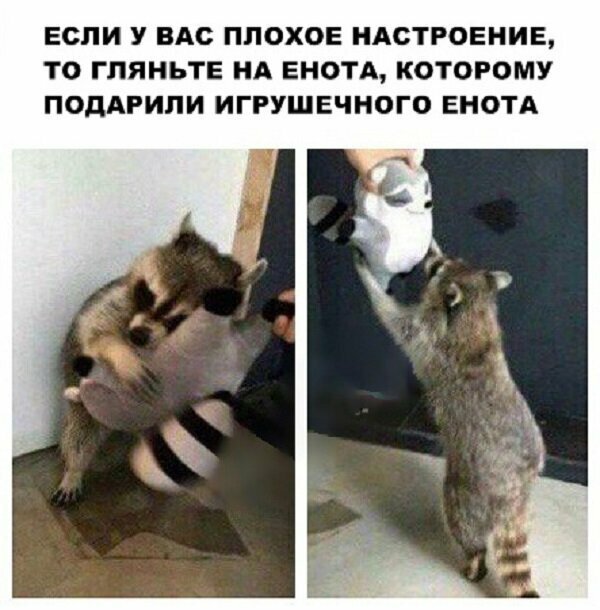 Смешные картинки от Урал за 24 августа 2019 21:37