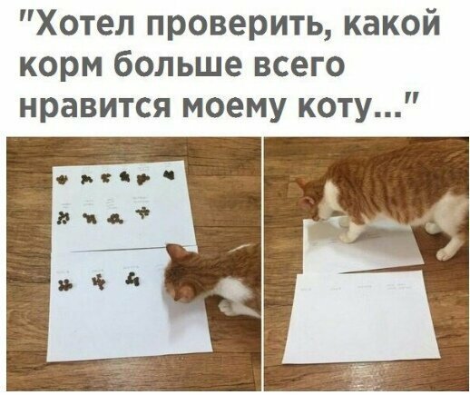 Смешные картинки от Урал за 24 августа 2019 21:37