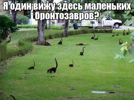 Смешные картинки от Урал за 25 августа 2019 13:09