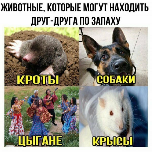 Картинки с надписями