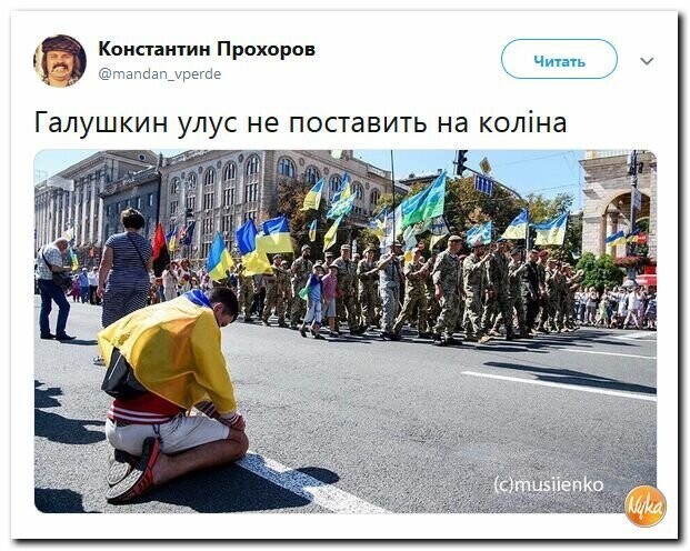 Политические картинки